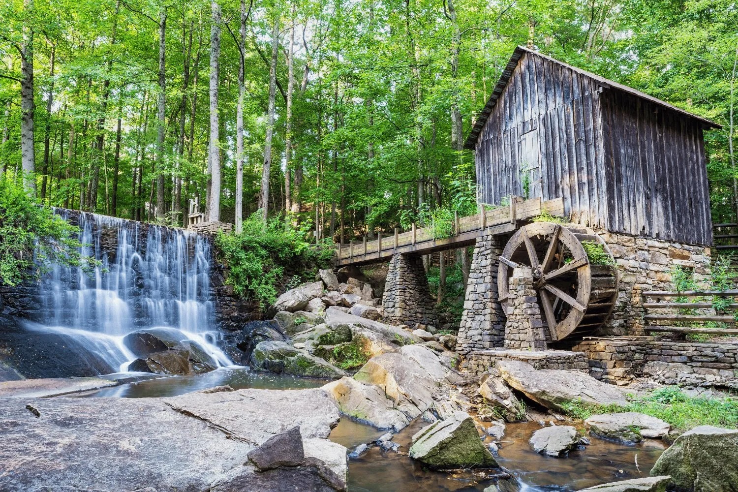Cochran-Shoals-Trail.jpeg